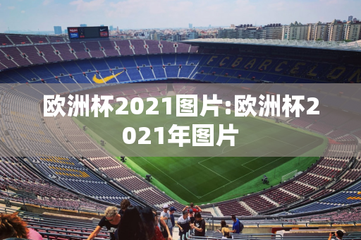 欧洲杯2021图片:欧洲杯2021年图片