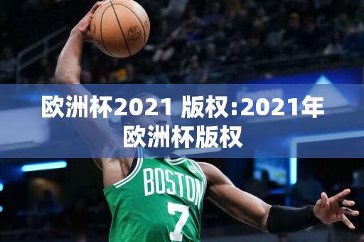 欧洲杯2021 版权:2021年欧洲杯版权