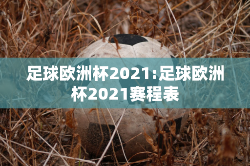 足球欧洲杯2021:足球欧洲杯2021赛程表