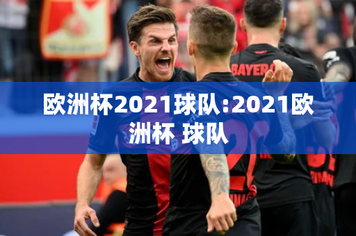 欧洲杯2021球队:2021欧洲杯 球队