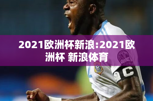 2021欧洲杯新浪:2021欧洲杯 新浪体育