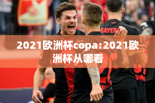 2021欧洲杯copa:2021欧洲杯从哪看