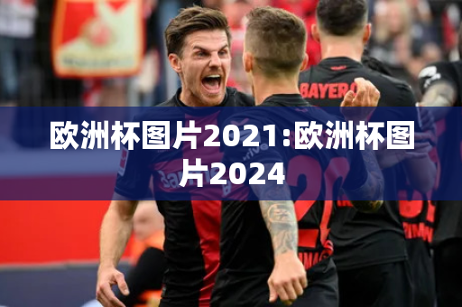 欧洲杯图片2021:欧洲杯图片2024