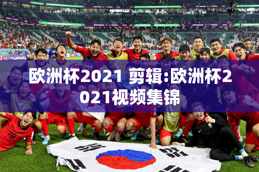 欧洲杯2021 剪辑:欧洲杯2021视频集锦