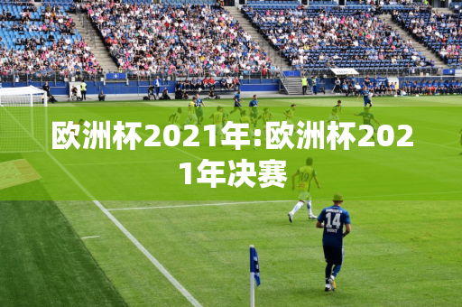 欧洲杯2021年:欧洲杯2021年决赛