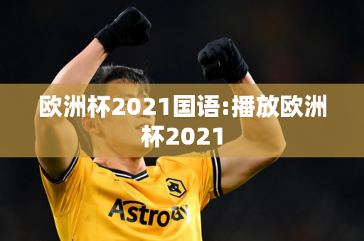 欧洲杯2021国语:播放欧洲杯2021