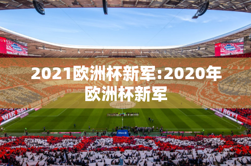 2021欧洲杯新军:2020年欧洲杯新军