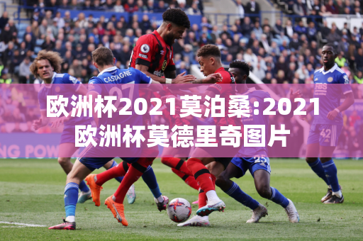 欧洲杯2021莫泊桑:2021欧洲杯莫德里奇图片