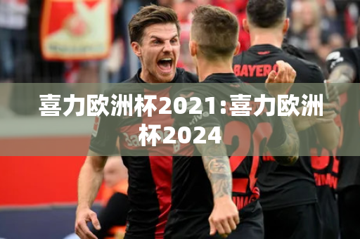 喜力欧洲杯2021:喜力欧洲杯2024