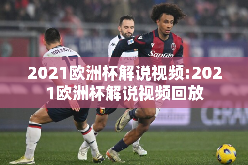 2021欧洲杯解说视频:2021欧洲杯解说视频回放