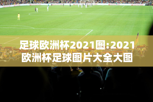 足球欧洲杯2021图:2021欧洲杯足球图片大全大图