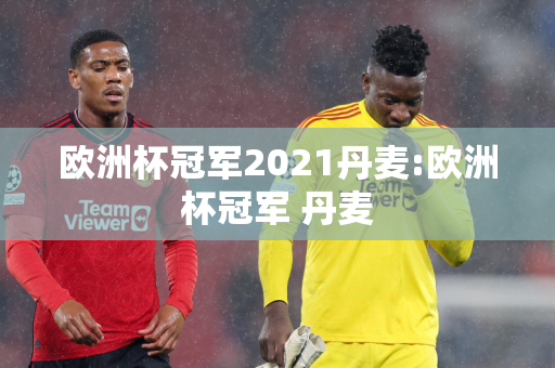 欧洲杯冠军2021丹麦:欧洲杯冠军 丹麦