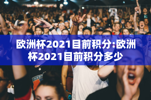 欧洲杯2021目前积分:欧洲杯2021目前积分多少