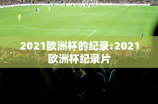 2021欧洲杯的纪录:2021欧洲杯纪录片