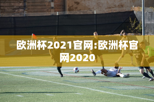 欧洲杯2021官网:欧洲杯官网2020