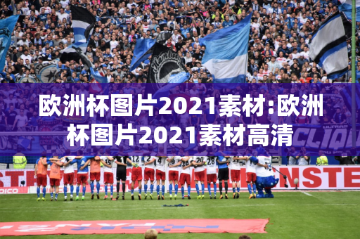 欧洲杯图片2021素材:欧洲杯图片2021素材高清