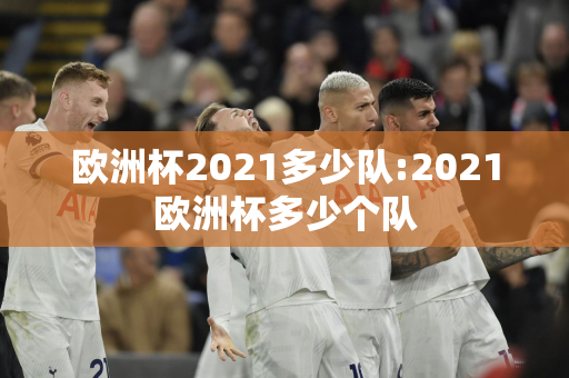 欧洲杯2021多少队:2021欧洲杯多少个队