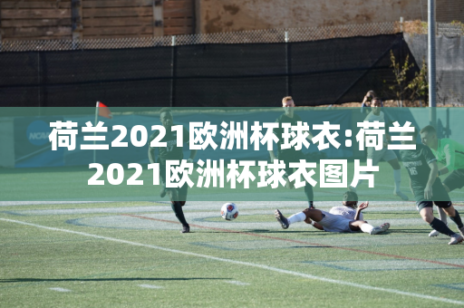 荷兰2021欧洲杯球衣:荷兰2021欧洲杯球衣图片