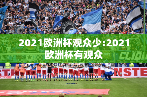 2021欧洲杯观众少:2021欧洲杯有观众