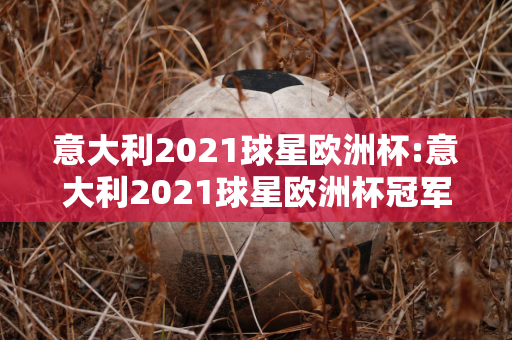 意大利2021球星欧洲杯:意大利2021球星欧洲杯冠军