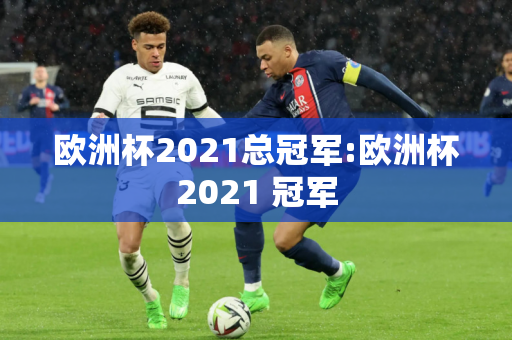 欧洲杯2021总冠军:欧洲杯2021 冠军