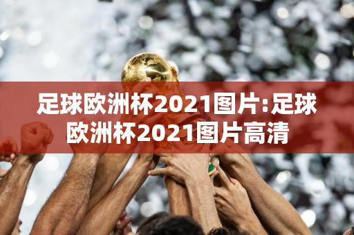 足球欧洲杯2021图片:足球欧洲杯2021图片高清