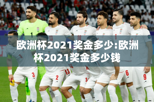 欧洲杯2021奖金多少:欧洲杯2021奖金多少钱