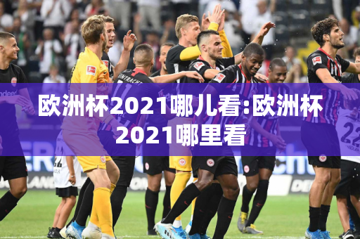 欧洲杯2021哪儿看:欧洲杯2021哪里看