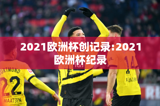 2021欧洲杯创记录:2021欧洲杯纪录