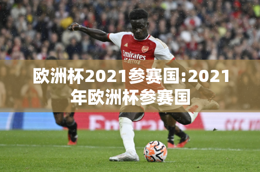 欧洲杯2021参赛国:2021年欧洲杯参赛国