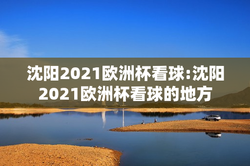 沈阳2021欧洲杯看球:沈阳2021欧洲杯看球的地方