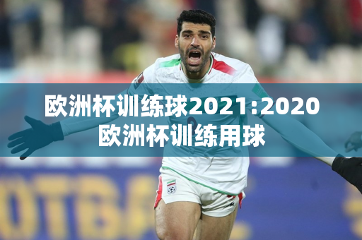 欧洲杯训练球2021:2020欧洲杯训练用球