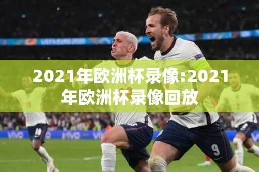 2021年欧洲杯录像:2021年欧洲杯录像回放