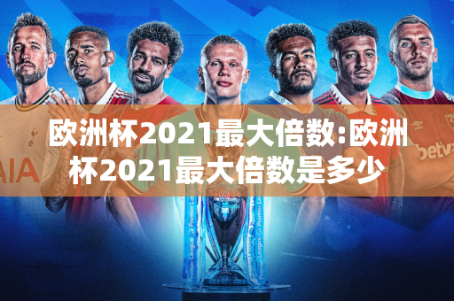 欧洲杯2021最大倍数:欧洲杯2021最大倍数是多少