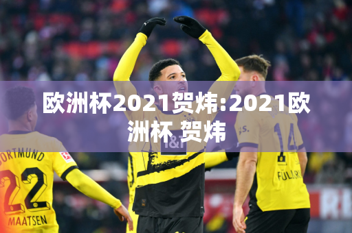 欧洲杯2021贺炜:2021欧洲杯 贺炜