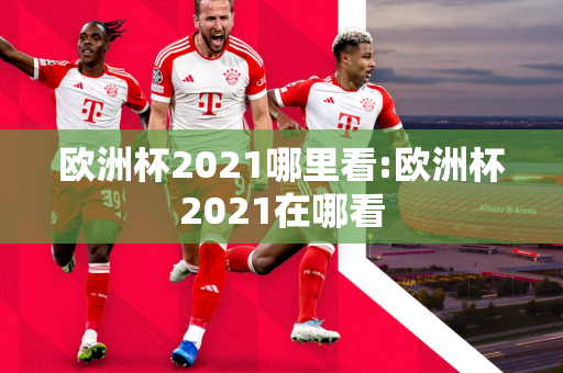 欧洲杯2021哪里看:欧洲杯2021在哪看