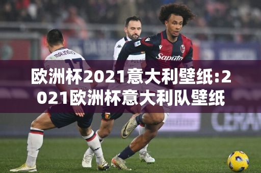 欧洲杯2021意大利壁纸:2021欧洲杯意大利队壁纸