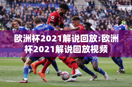 欧洲杯2021解说回放:欧洲杯2021解说回放视频