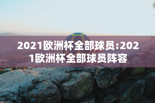 2021欧洲杯全部球员:2021欧洲杯全部球员阵容