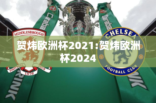 贺炜欧洲杯2021:贺炜欧洲杯2024