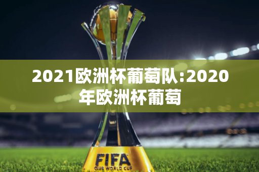 2021欧洲杯葡萄队:2020年欧洲杯葡萄