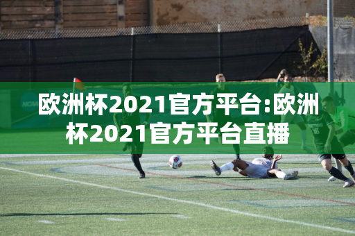 欧洲杯2021官方平台:欧洲杯2021官方平台直播