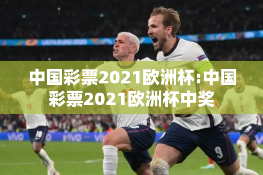 中国彩票2021欧洲杯:中国彩票2021欧洲杯中奖