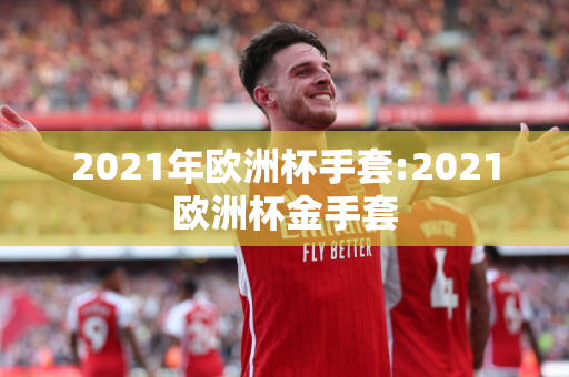 2021年欧洲杯手套:2021欧洲杯金手套