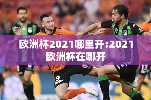 欧洲杯2021哪里开:2021欧洲杯在哪开