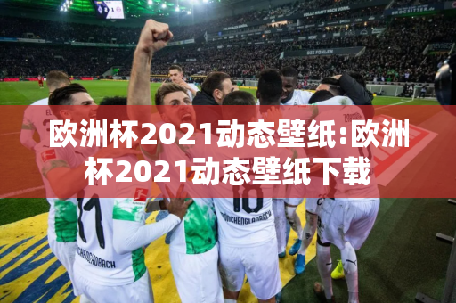 欧洲杯2021动态壁纸:欧洲杯2021动态壁纸下载