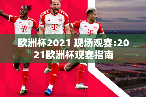 欧洲杯2021 现场观赛:2021欧洲杯观赛指南