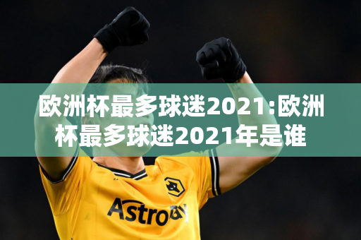 欧洲杯最多球迷2021:欧洲杯最多球迷2021年是谁