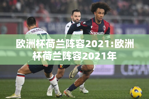 欧洲杯荷兰阵容2021:欧洲杯荷兰阵容2021年