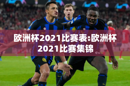 欧洲杯2021比赛表:欧洲杯2021比赛集锦